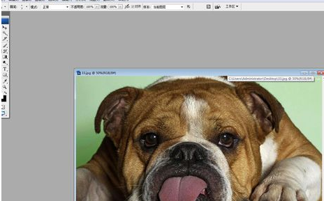 Adobe Photoshop中液化工具的详细使用步骤