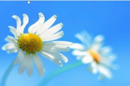 Win7和Win8哪个好?Win8系统和Win7系统对比详解