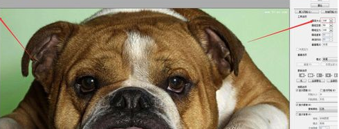 Adobe Photoshop中液化工具的详细使用步骤