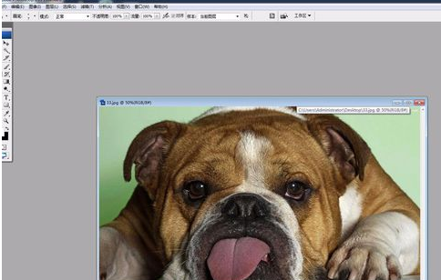 Adobe Photoshop中液化工具的详细使用步骤