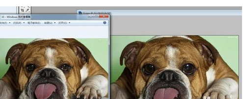 Adobe Photoshop中液化工具的详细使用步骤
