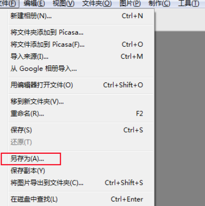 Google Picasa修整照片颜色以及亮度的操作步骤