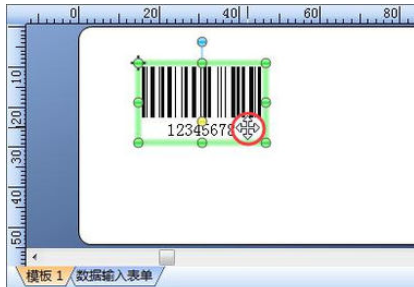 BarTender中移动对象的操作教程
