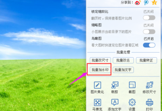 2345看图王给多个图片加水印的方法步骤