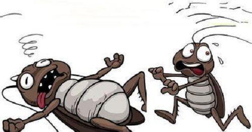 猜一猜：为什么平时打蟑螂很难打中?支付宝蚂蚁庄园5月27日答案