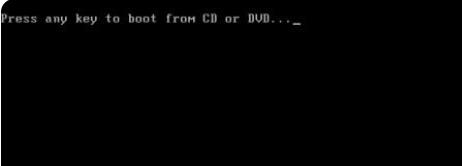 Win11系统怎么在vm上安装?Win11系统怎么在vm上安装方法