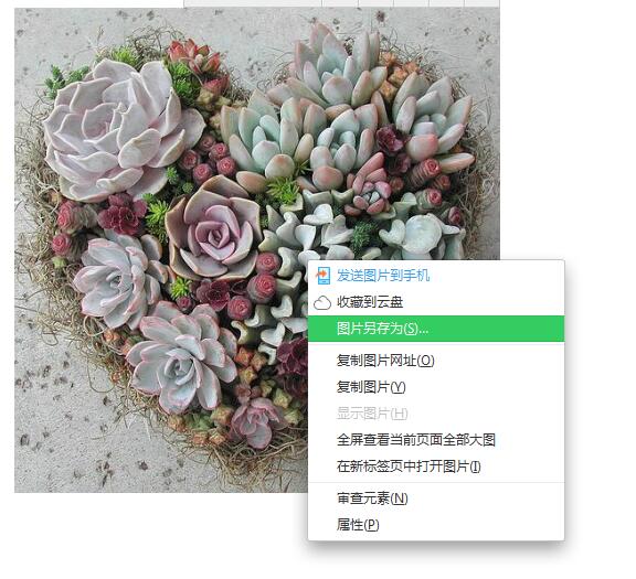 百度壁纸怎么保存到相册?百度壁纸保存到相册的方法