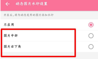 哔哩哔哩动态图片水印功能怎么设置 哔哩哔哩启用动态图片水印方法