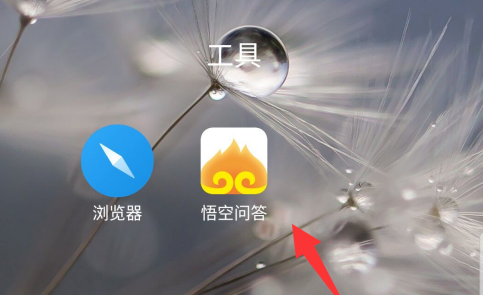 悟空问答手机号去哪绑定 悟空问答手机号绑定方法