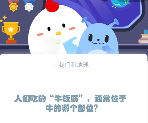 人们吃的“牛板筋”,通常位于牛的哪个部位?支付宝蚂蚁庄园12月5日答案