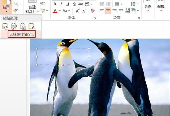 ppt2013填充背景图片的操作步骤