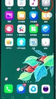 oppoReno Ace取消拨号按键音的详细说明