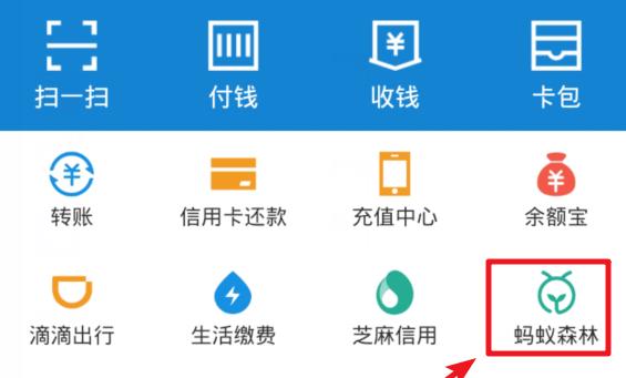 蚂蚁森林怎么设置不让某个好友看?蚂蚁森林设置不让某个好友看的方法