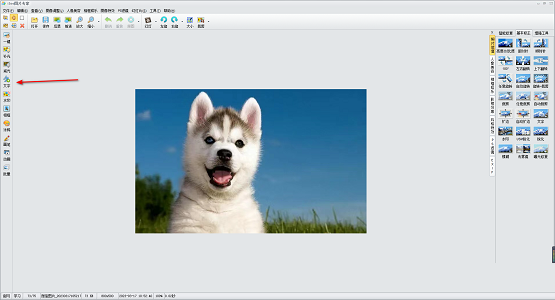 iSee如何给图片添加文字?iSee给图片添加文字的方法