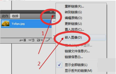 Adobe Illustrator cs5怎样嵌入图片快捷键？Adobe Illustrator cs5嵌入图片快捷键的方法