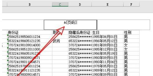 excel2019怎样给表格加页码?excel2019给表格加页码的方法
