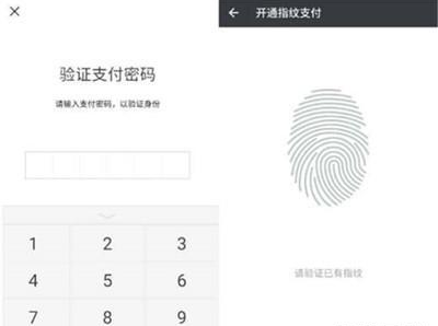 iqoopro手机微信指纹支付的设置方法