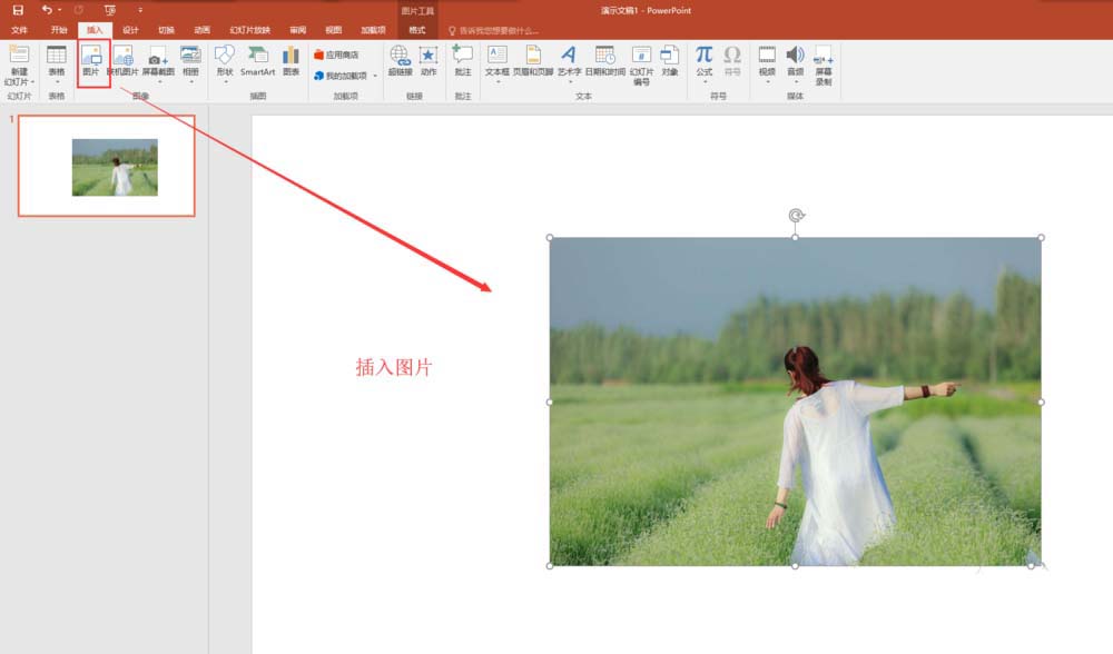 PPT使用文本框为图片做出条形拼接效果的详细教程