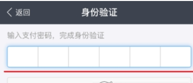 支付宝设置自动交电费的基础操作