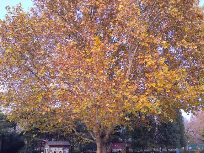 优畅享30e怎么样？优畅享30e真机测评解析