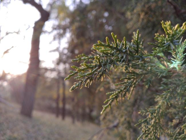 优畅享30e怎么样？优畅享30e真机测评解析