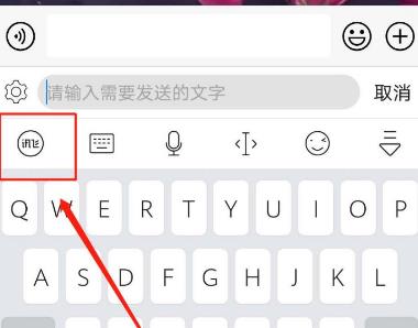讯飞输入法BiuBiu密语模式怎么开启？讯飞输入法BiuBiu密语模式开启方法