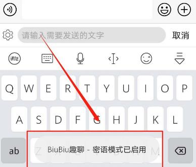 讯飞输入法BiuBiu密语模式怎么开启？讯飞输入法BiuBiu密语模式开启方法