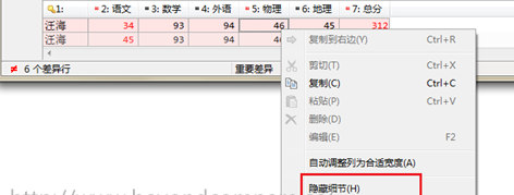 Beyond Compare隐藏以及显示文本细节的操作教程