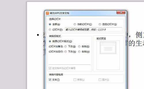 PowerPoint Viewer转成word文件的详细过程