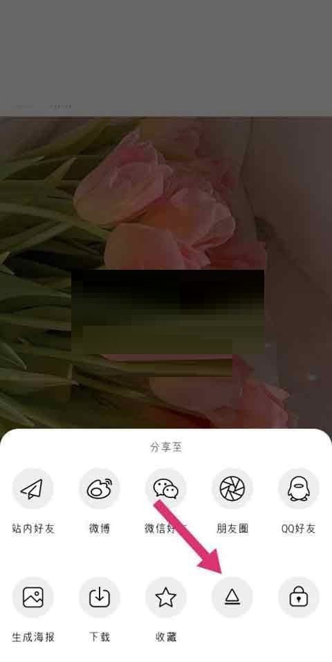 绿洲动态怎么置顶?绿洲动态置顶方法