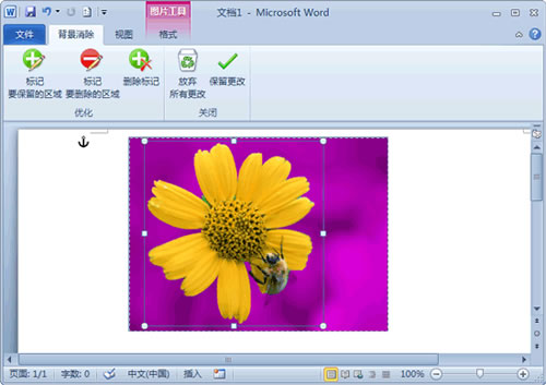 word2010删除图片背景的详细步骤