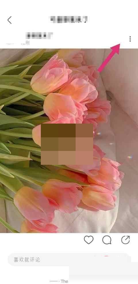 绿洲动态怎么置顶?绿洲动态置顶方法