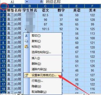 Excel表格中隐藏公式或函数的具体步骤