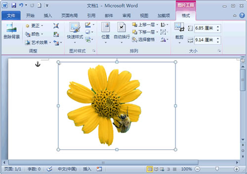 word2010删除图片背景的详细步骤