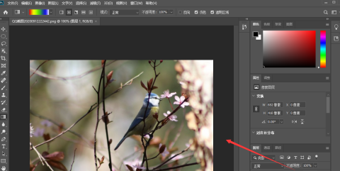photoshop2020怎么样调整亮度?photoshop2020调整亮度的方法