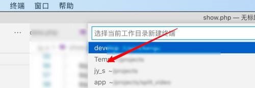 Vscode如何在终端显示结果?Vscode在终端显示结果教程