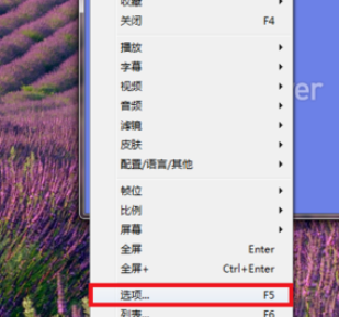PotPlayer关联视频文件的详细操作步骤