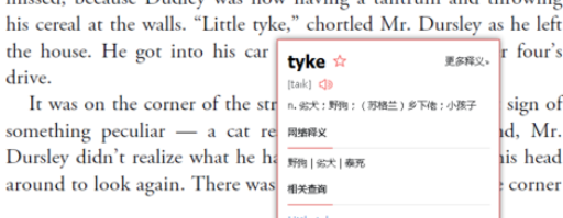 有道词典实现脱网查询的操作方法