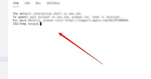 Vscode如何在终端显示结果?Vscode在终端显示结果教程