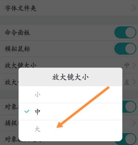 CAD看图王如何更改修改放大镜大小？CAD看图王更改修改放大镜大小的方法