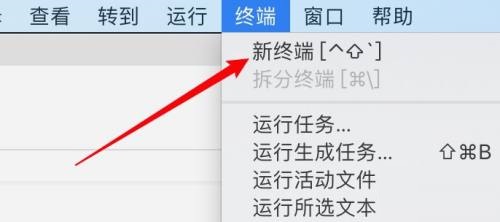Vscode如何在终端显示结果?Vscode在终端显示结果教程