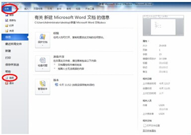 Word 2010中插入复选框的方法步骤