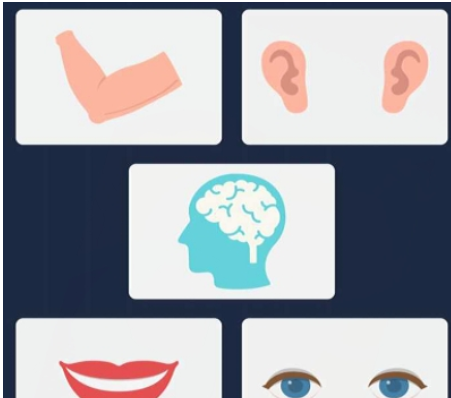 英语流利说测试自己英语水平的基础操作