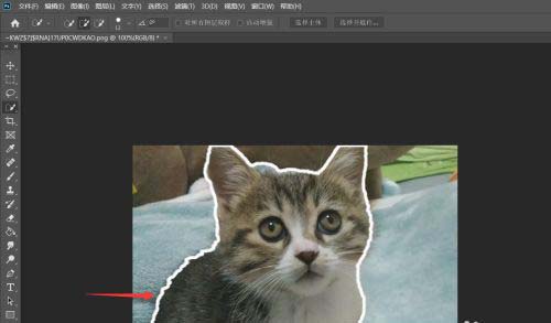 万兴喵影filmora如何绘作人物描边定格?万兴喵影filmora制作人物描边定格教程