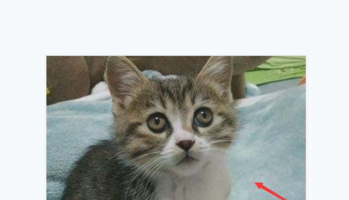 万兴喵影filmora如何绘作人物描边定格?万兴喵影filmora制作人物描边定格教程