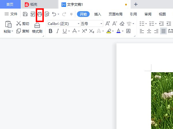 WPS怎么打印固定文档页?WPS打印固定文档页教程