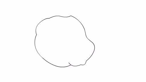 Flash设计卡通小狗图形的操作流程