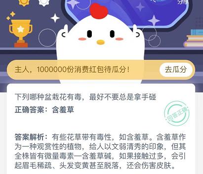 下列哪种盆栽花有毒最好不要总是拿手碰?蚂蚁庄园11月23日标准答案