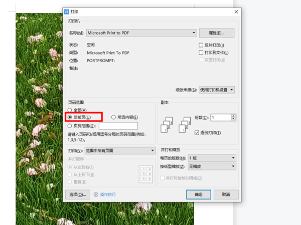 WPS怎么打印固定文档页?WPS打印固定文档页教程