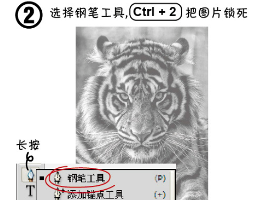 ai打造老虎头像的操作方法